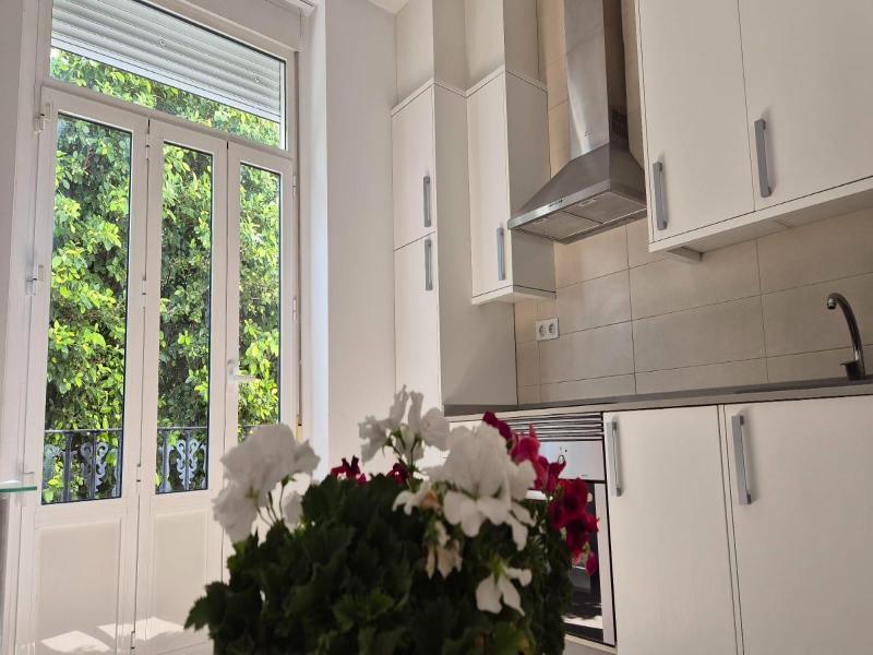 Luxury Apartments Puerto image
