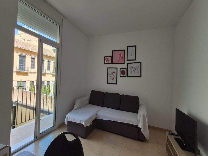 Luxury Apartments Puerto image