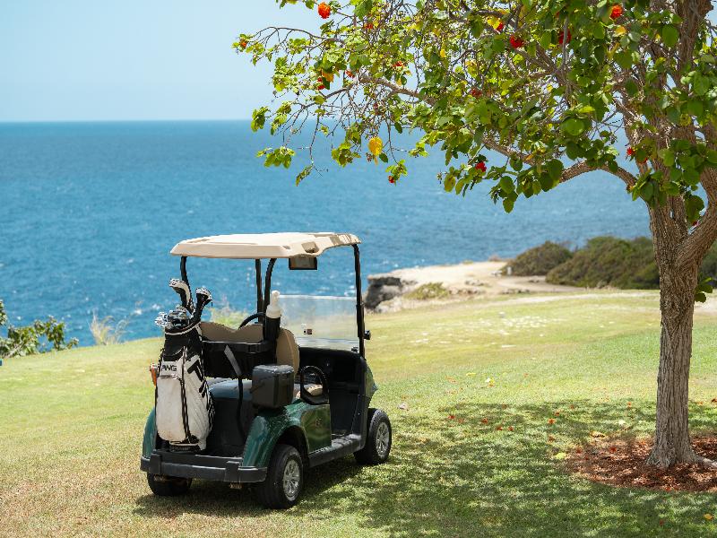Blue Bay Golf and Beach Resort Curacao image