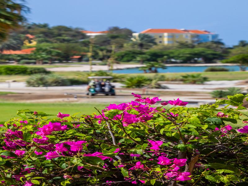 Blue Bay Golf and Beach Resort Curacao image