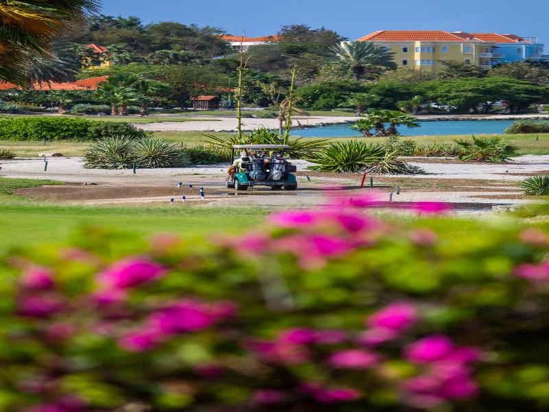 Blue Bay Golf and Beach Resort Curacao image