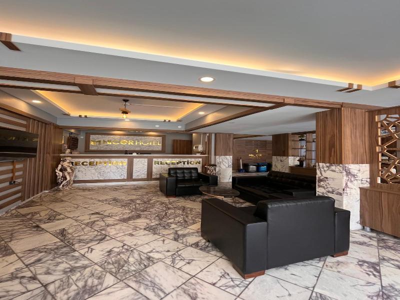 Nicer Hotel image