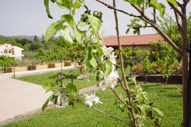 Casadamares image