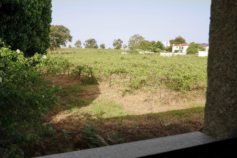 Casadamares image