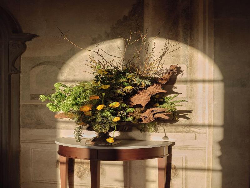 Collegio Alla Querce, Auberge Collection image