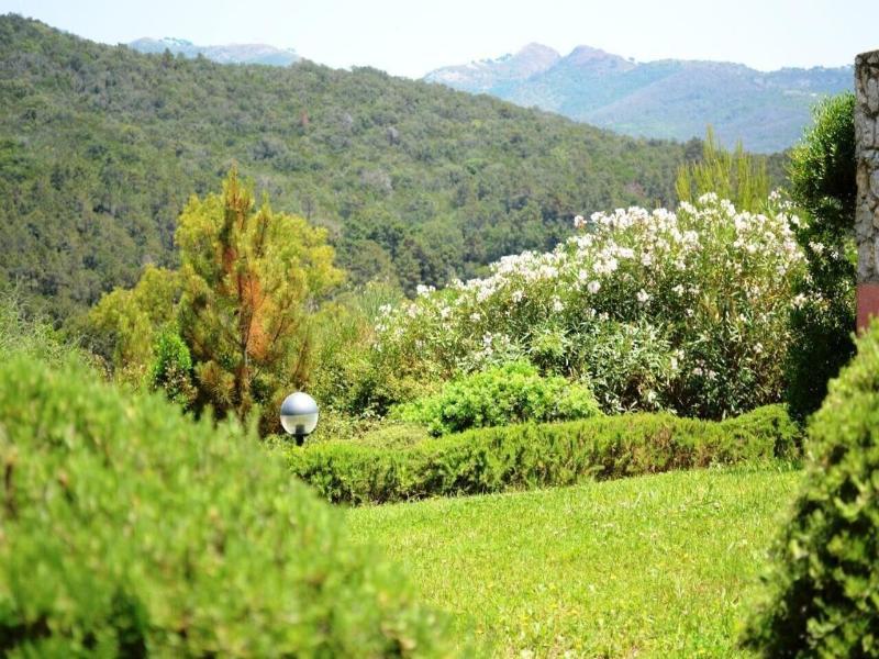 Hotiday Apartment Collection - Portoferraio image