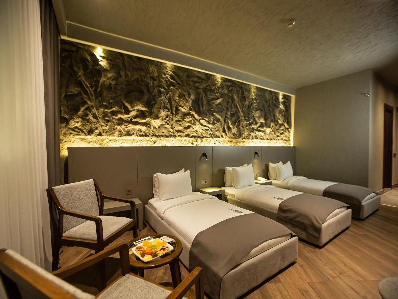 The Erzurum Hotel image