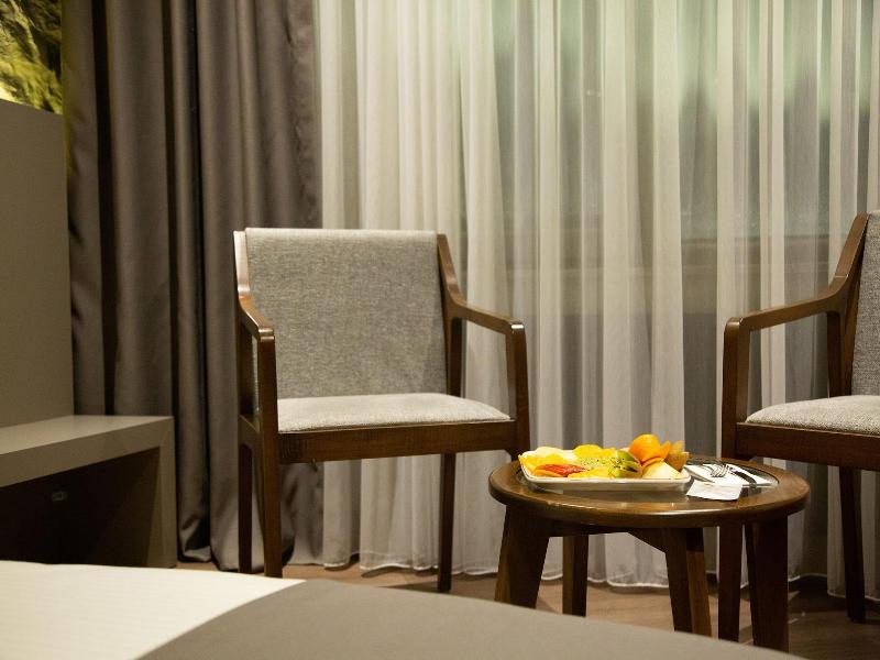 The Erzurum Hotel image