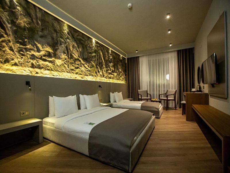 The Erzurum Hotel image