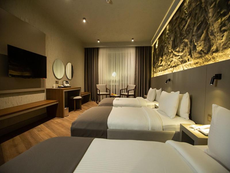 The Erzurum Hotel image