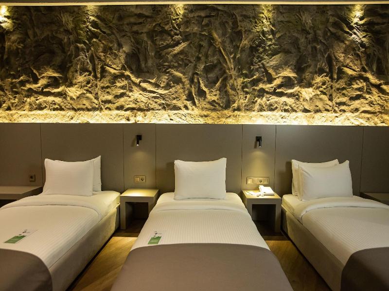 The Erzurum Hotel image