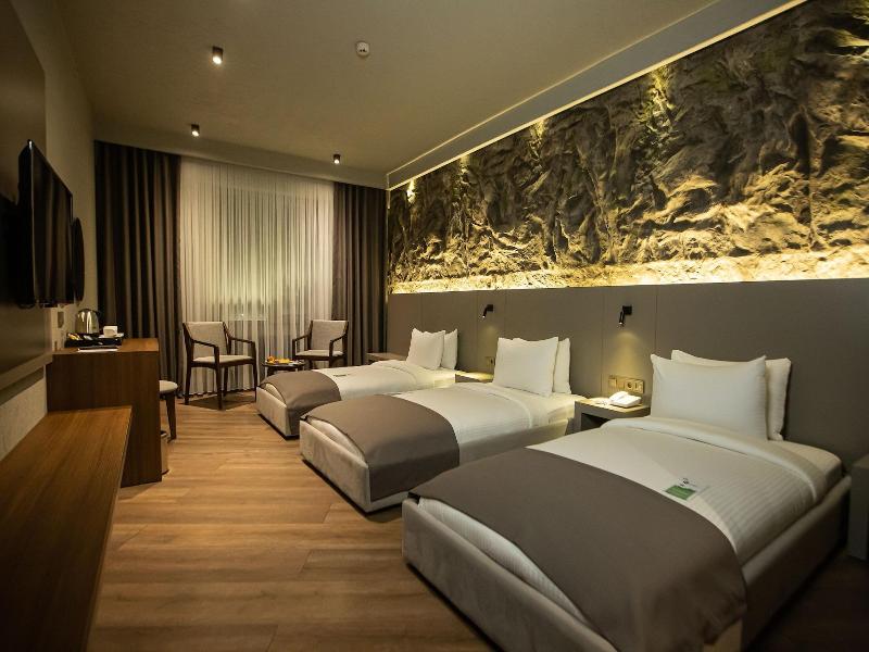 The Erzurum Hotel image