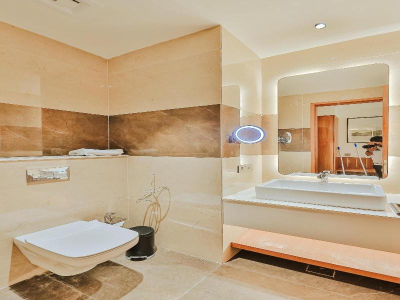 Wyndham Garden Sonipat Murthal image