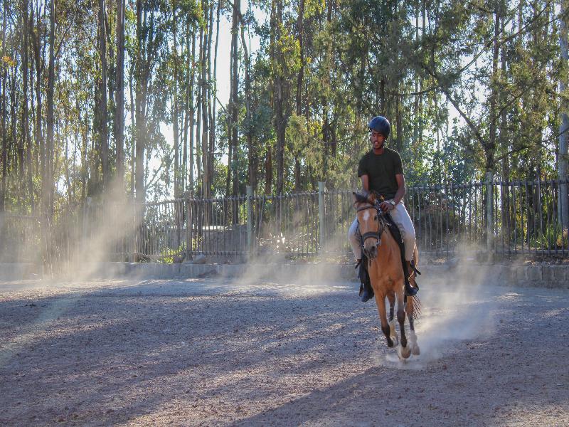 Kuriftu Entoto Adventure Park image