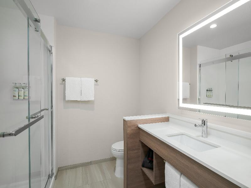Holiday Inn Exp & Sts DFW Airport Sthwst - Euless image