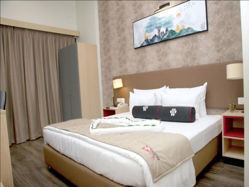 Mastiff Hotel Ankleshwar by OTHPL image