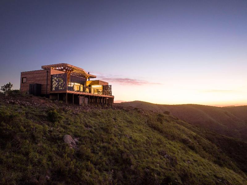 Mantis Hiddn In Addo image