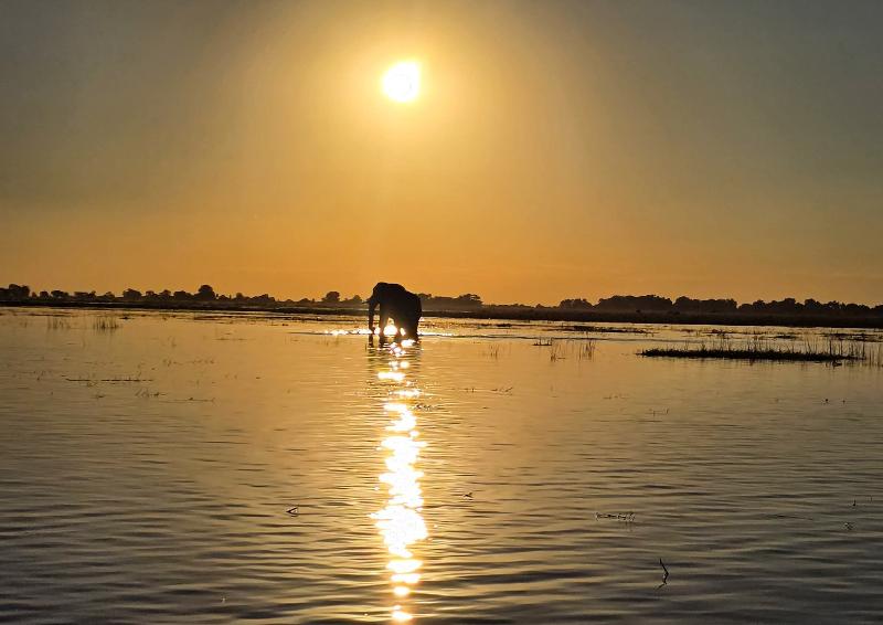 Chobe Sunset Chalets image