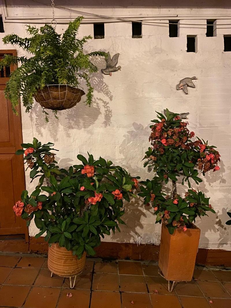 Hotel Casa Posada Don Chepe image