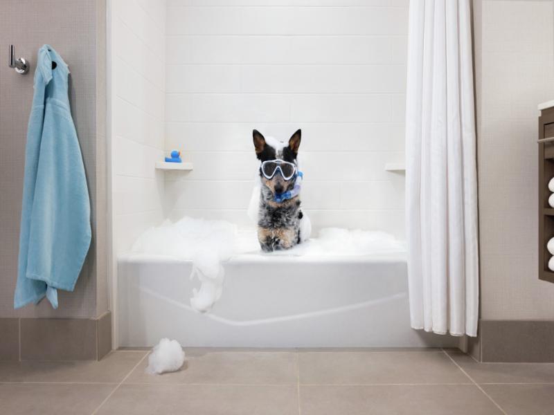 Home2 Suites by Hilton Lafayette I-10 image