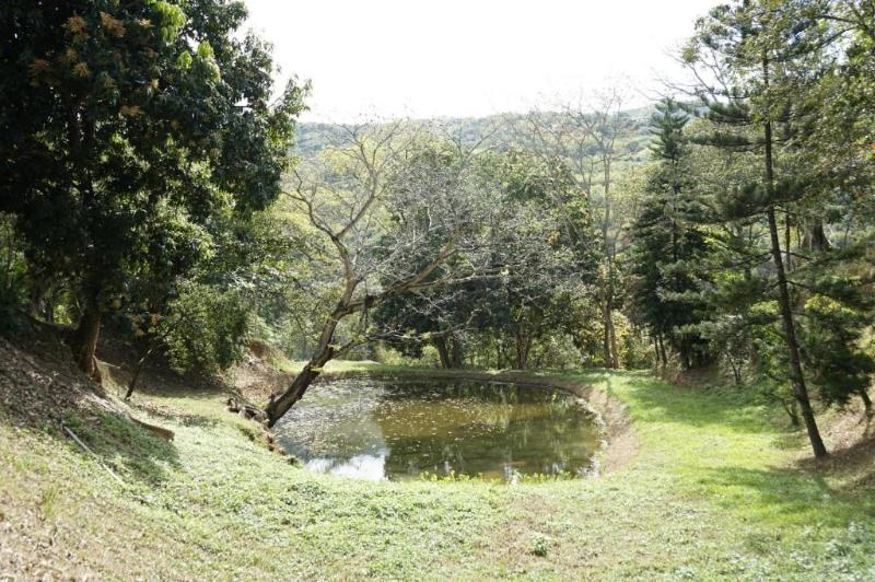 Tres Lagos Hotel image