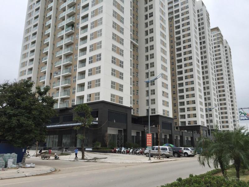 New Life Tower Bai Chay