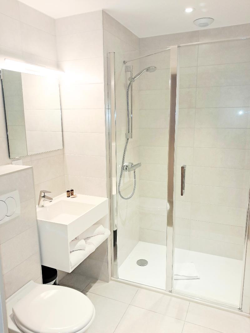 Hotel Le Cheval Blanc Brunstatt image