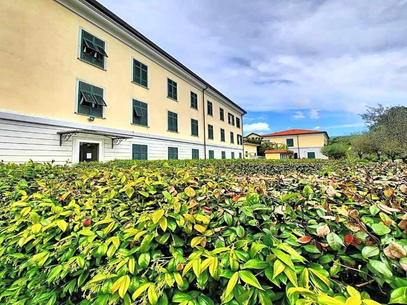 Sarzana Park Hotel image