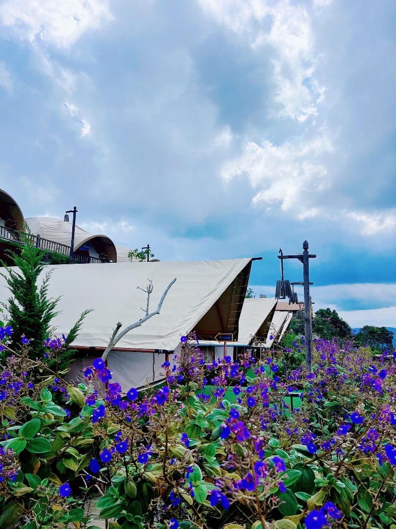 Cloud9 & Cloud View Glamping image 10