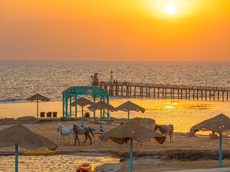 Swissotel Resort El Quseir image