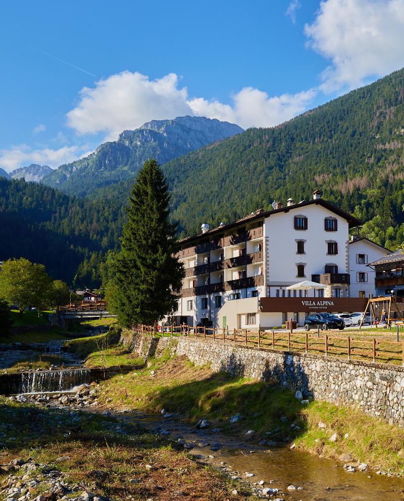 Hotel Villa Alpina — general view