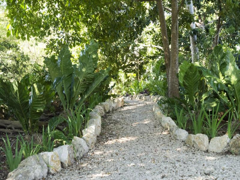 Maya Internacional image