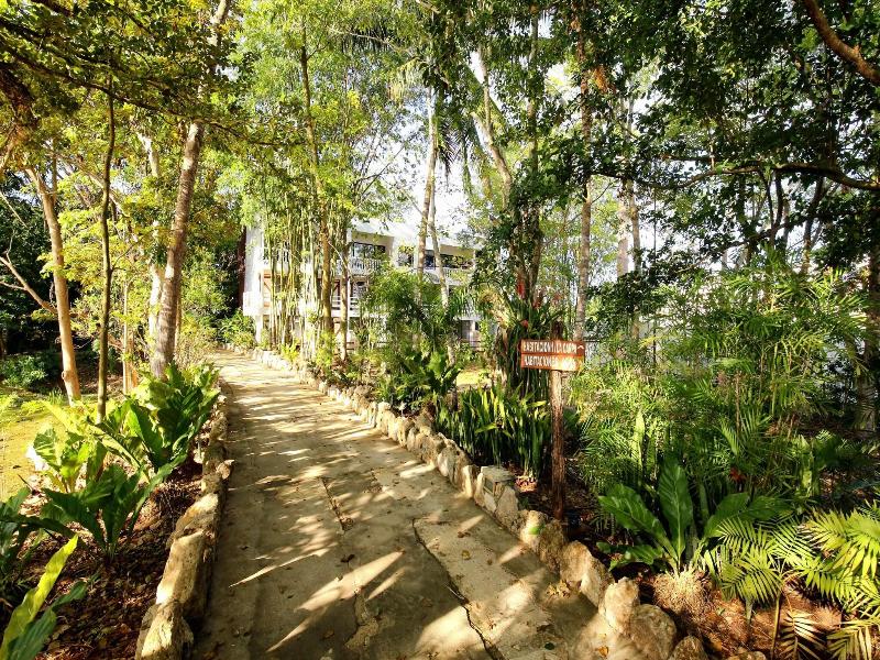 Maya Internacional image