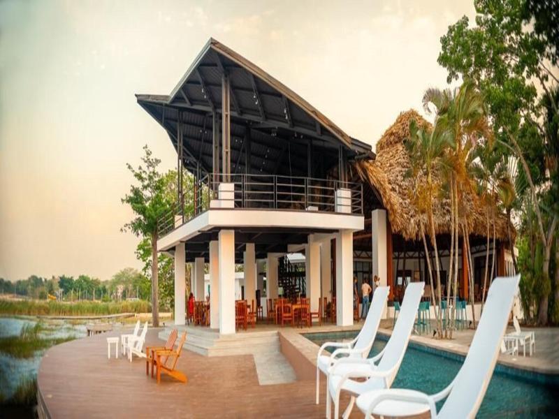 Maya Internacional image