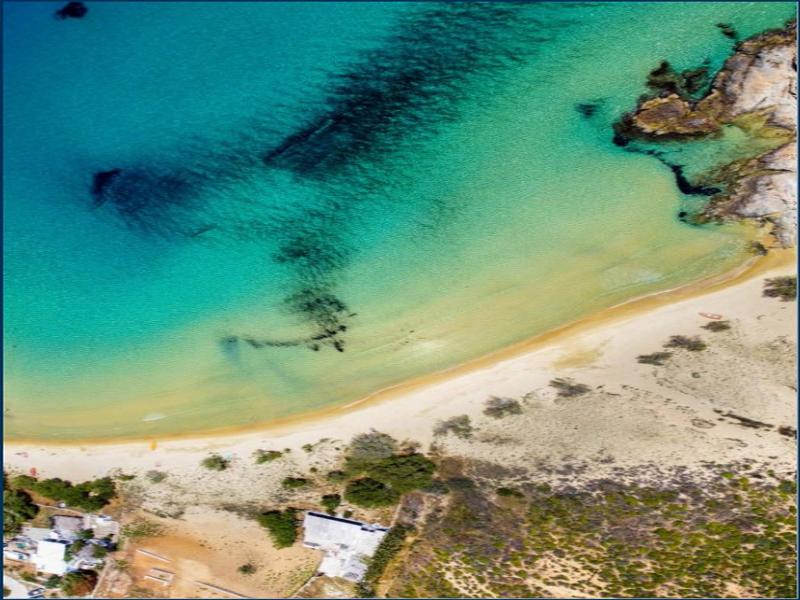 Eleios image