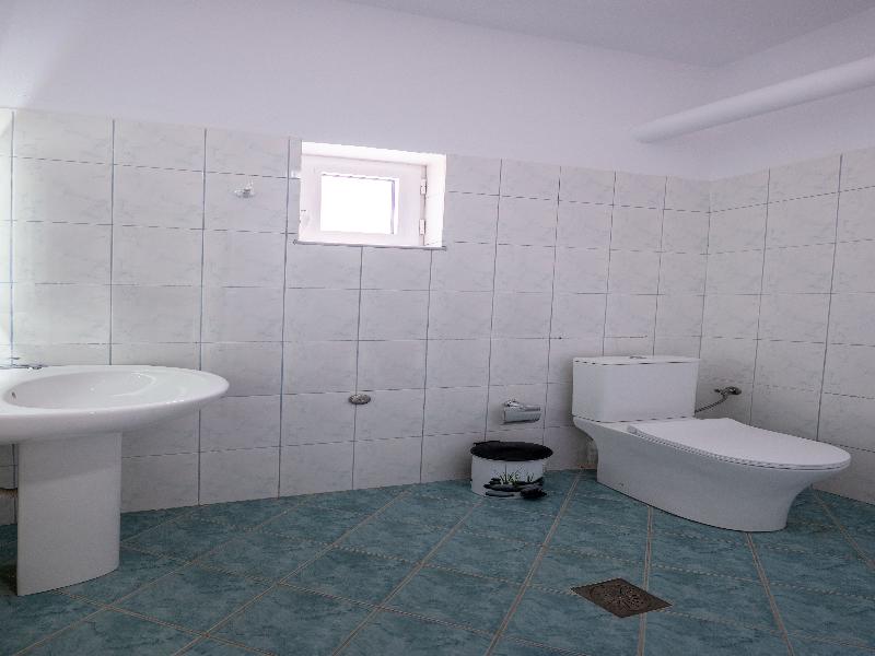 Hotel Alex image