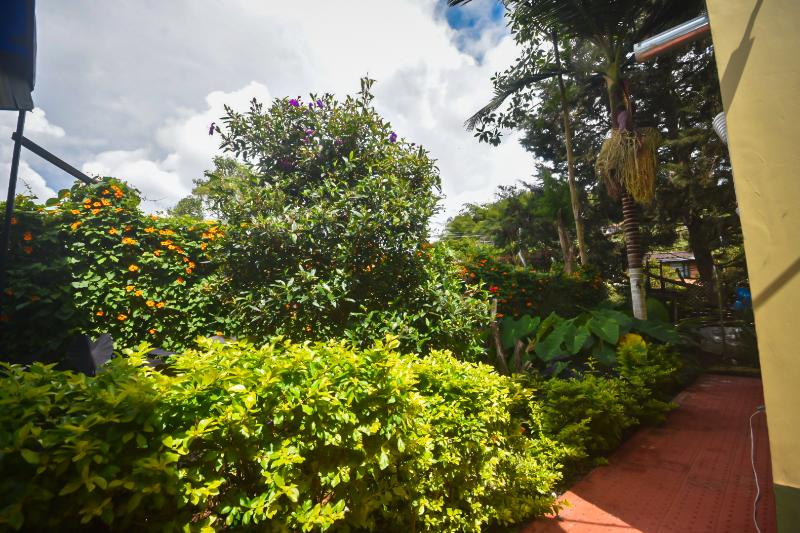 Finca Hotel Zona Franca image