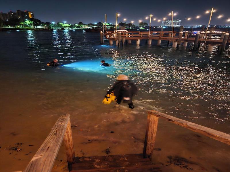 Blue Heron Bridge Hotel and Dive Club image