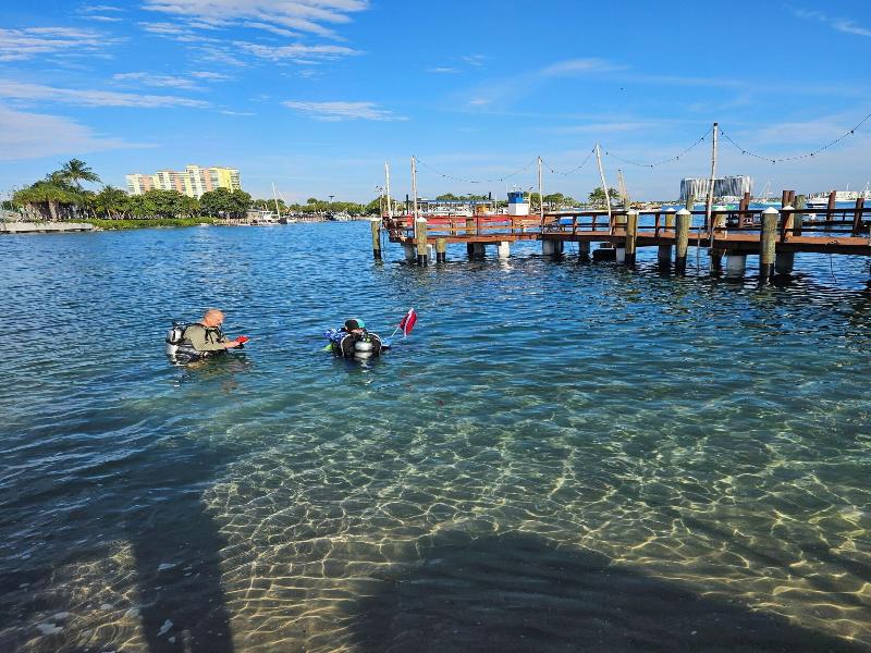 Blue Heron Bridge Hotel and Dive Club image