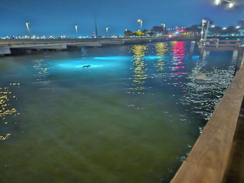 Blue Heron Bridge Hotel and Dive Club image
