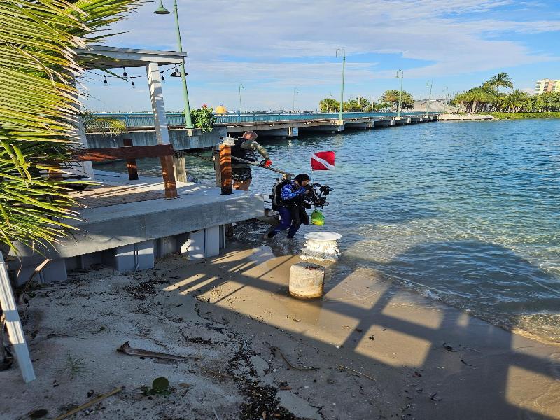 Blue Heron Bridge Hotel and Dive Club image