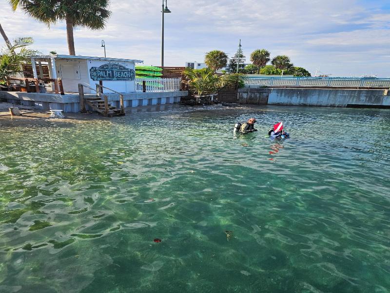 Blue Heron Bridge Hotel and Dive Club image