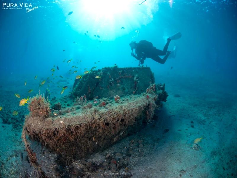 Blue Heron Bridge Hotel and Dive Club image