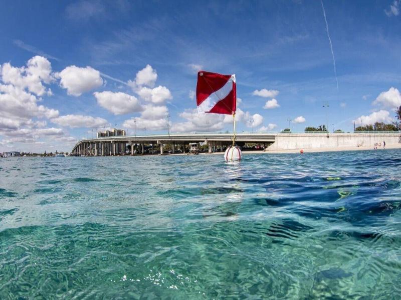 Blue Heron Bridge Hotel and Dive Club image