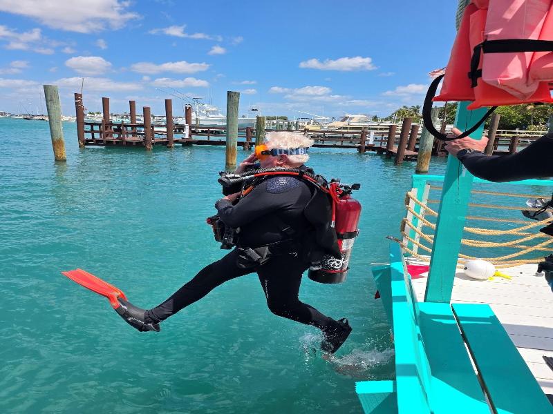 Blue Heron Bridge Hotel and Dive Club image
