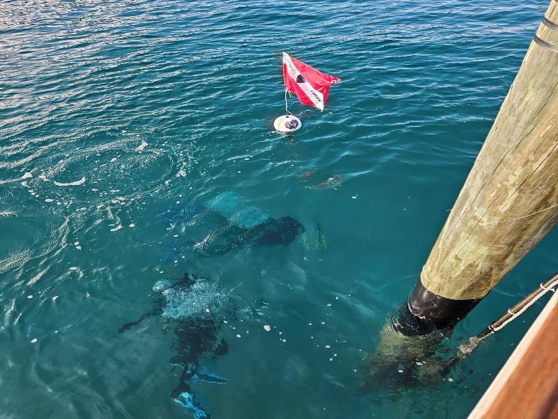 Blue Heron Bridge Hotel and Dive Club image