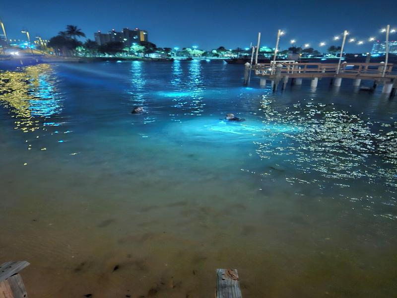 Blue Heron Bridge Hotel and Dive Club image