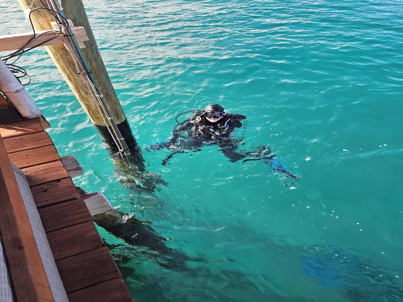 Blue Heron Bridge Hotel and Dive Club image