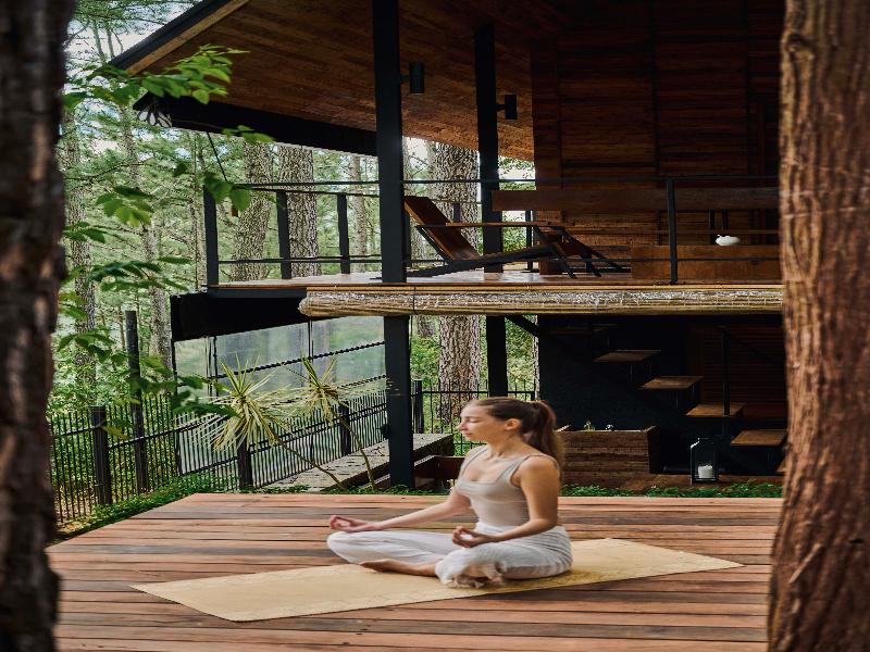Kaya Retreat image