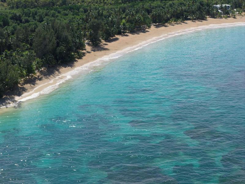 Donoma Las Terrenas Beach Hotel Spa Autograph image